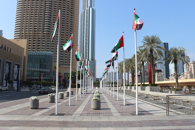 UAE: New Dubai regulations define traveler obligations and health responsibilities